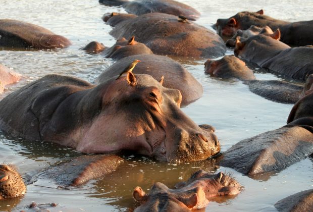 lake manyara