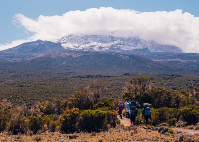 Kilimanjaro, Tanzania - African Porters who are carrying stuff on their head and climbing Kilimanjaro Mountain, Mount Kilimanjaro National Park