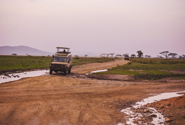 safari car